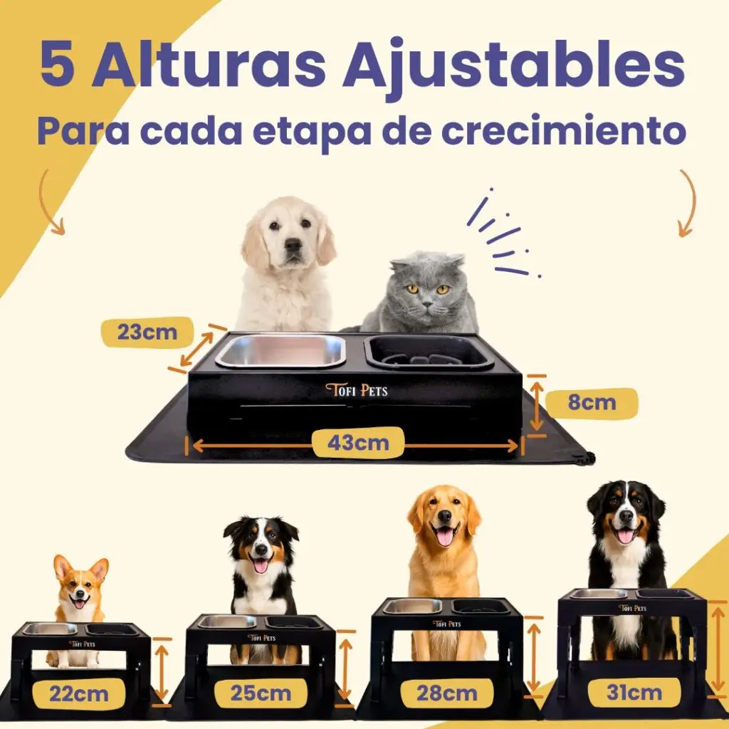 05_5 Alturas ajustables 3B