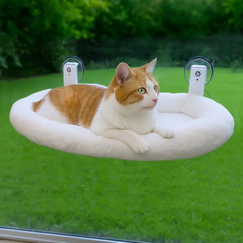 hamaca ventana blanco gato